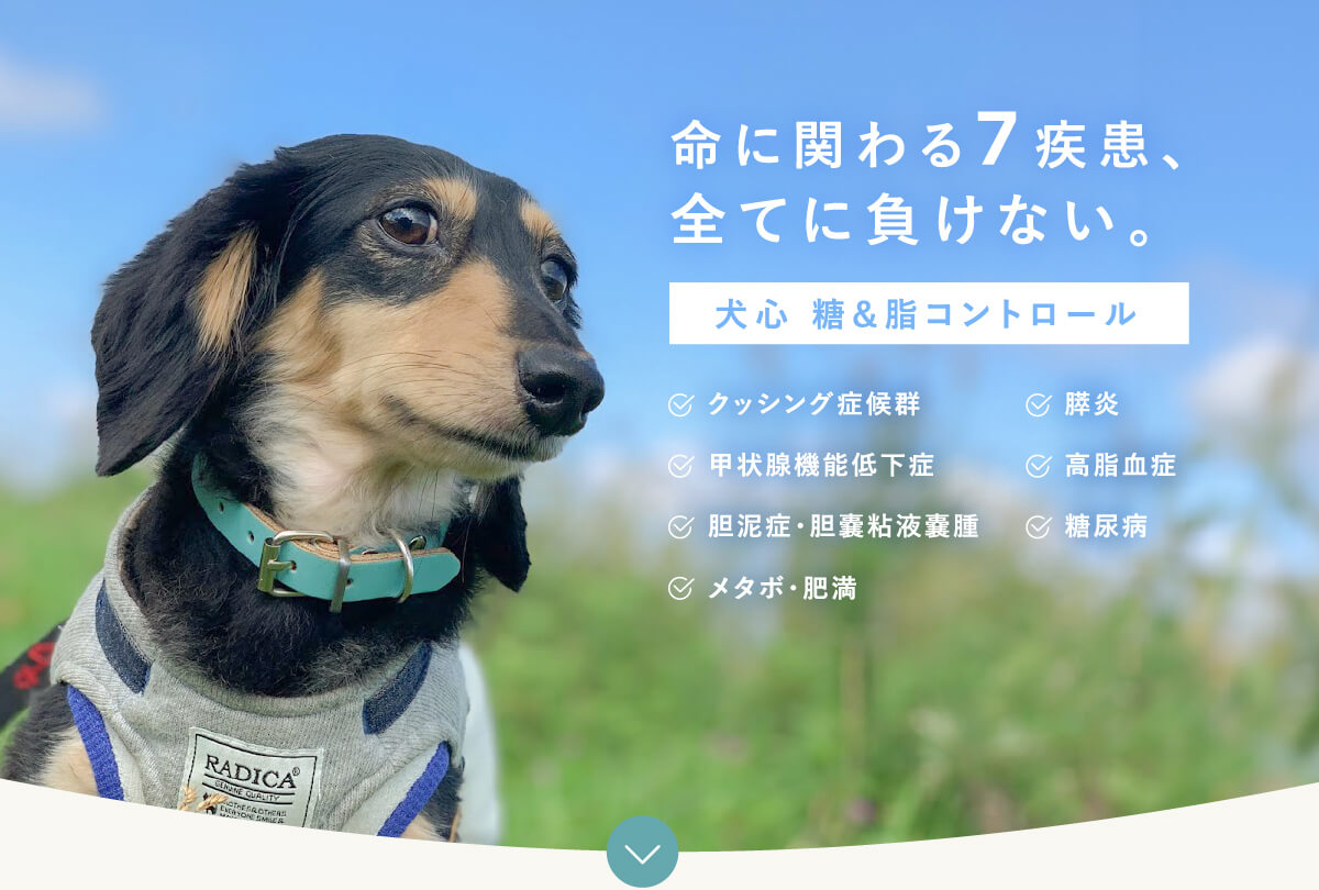 糖&脂コントロール