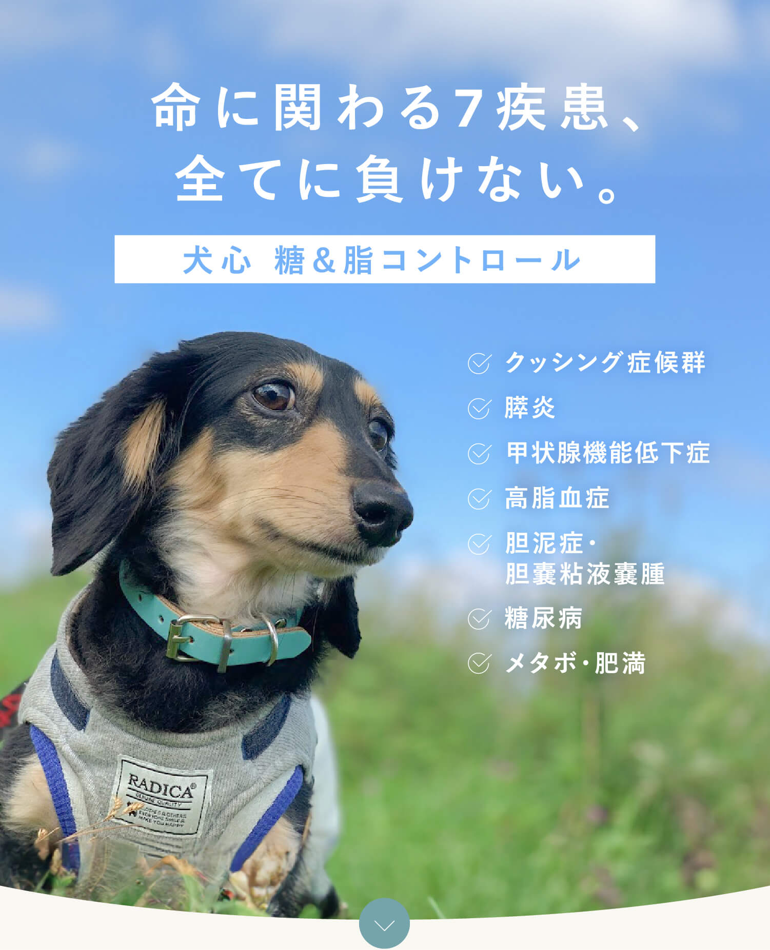 糖&脂コントロール