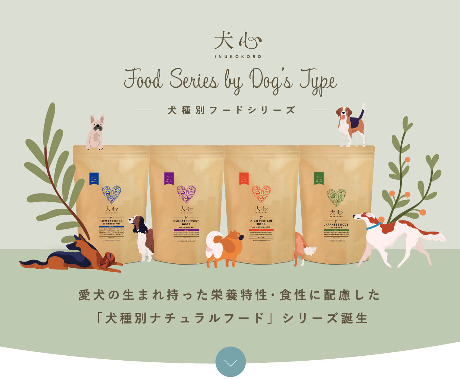 犬心犬種別フードシリーズ