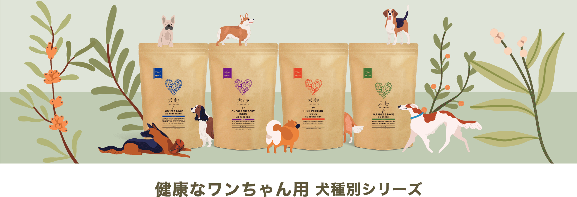 健康なワンちゃん用 犬種別シリーズ
