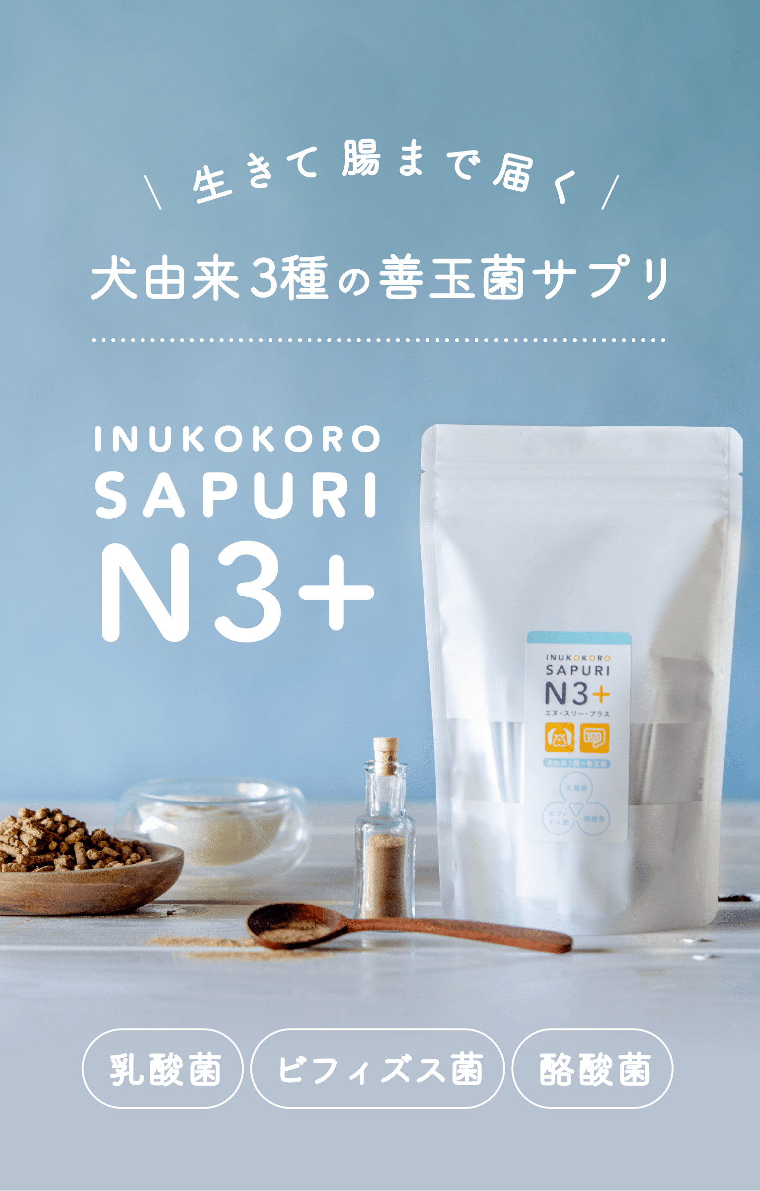 ワンちゃんの腸活に犬由来３種の善玉菌を生きたまま腸に届け定着させる