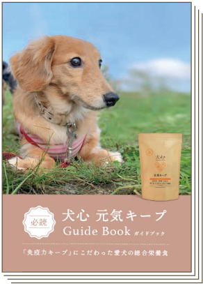 ガイドブック