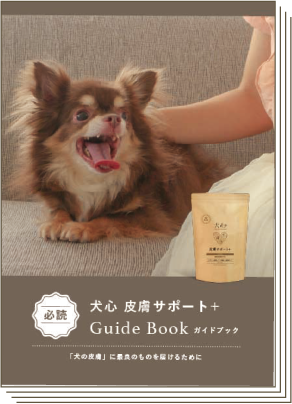 ガイドブック