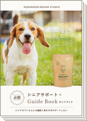 犬心 シニアサポート+ 4袋 犬心～シニアサポート＋～ - 犬心～INUKOKORO～