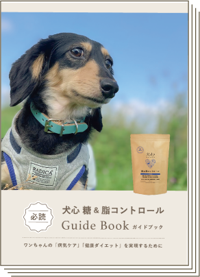ガイドブック