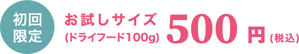 初回限定