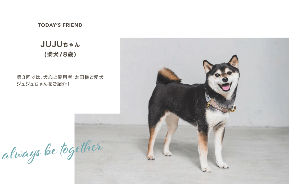 inu-master様 リクエスト 2点 まとめ商品 【公式通販】