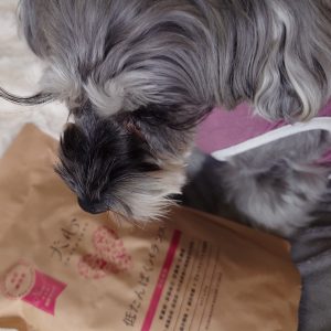 低たんぱくバランス - 犬心～INUKOKORO～