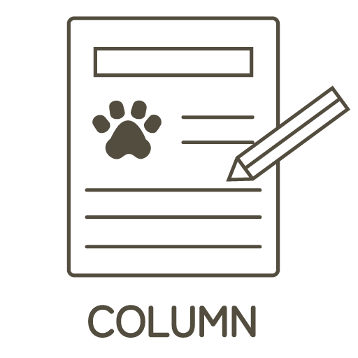 COLUMN